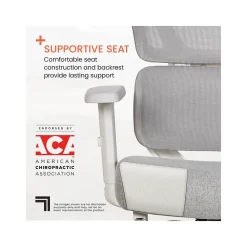 Office Chairs*Sharper Image S-850 Ergonomic Mesh Swivel Computer and Desk Chair, Light Gray/White (60106-LGRYWHT)