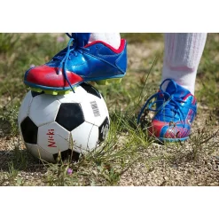 Markers|Sharpie Extreme Permanent Markers, Fine Tip, Black, 12/Pack (1927432)