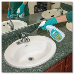 Lime Scale Remover, Wintergreen, 32 oz Spray Bottle, 12/Carton (SMP50032)<Simple Green Best