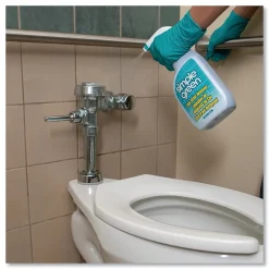 Lime Scale Remover, Wintergreen, 32 oz Spray Bottle, 12/Carton (SMP50032)<Simple Green Best