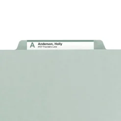 File Folders|Smead Heavy Duty File Folder, 1/3-Cut Tab, 1