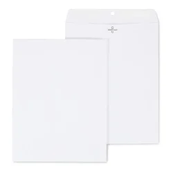 Staples Clasp & Gummed Catalog Envelopes, 10"L x 13"H, Bright White, 100/Box (570231N)