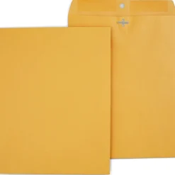 Clearance Staples Clasp & Moistenable Glue Kraft Catalog Envelopes, 10"L x 13"H, Brown, 250/Box (487494/17243)