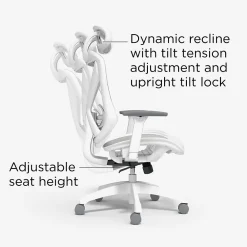 Ergonomic Chairs*Staples Dexley Ergonomic Mesh Swivel Task Chair, (UN61365) Gray