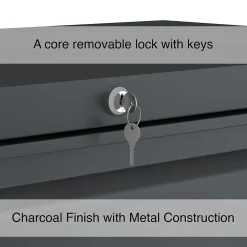 File Cabinets*Staples 3-Drawer Lateral File Cabinet, Letter/Legal Size, Lockable, 40.25