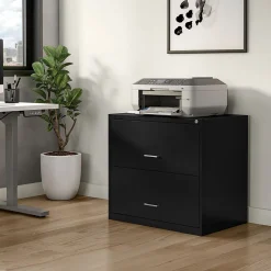 File Cabinets*Staples 2-Drawer Lateral File Cabinet, Letter/Legal Size, Lockable, 27.3