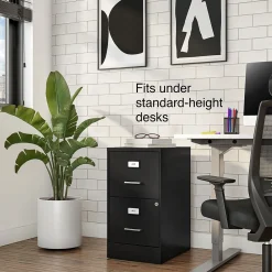 File Cabinets*Staples 2-Drawer Light Duty Vertical File Cabinet, Locking, Letter, Black, 18