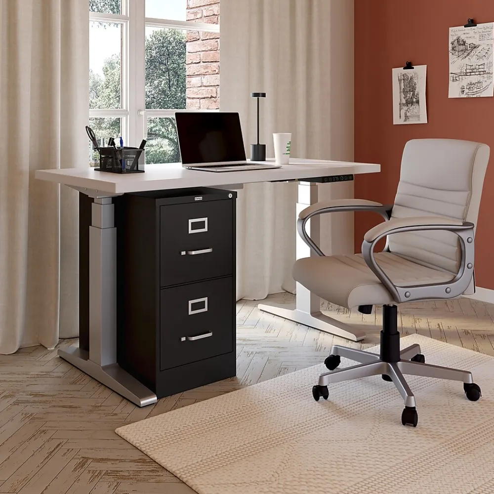 File Cabinets*Staples 2-Drawer Mobile Vertical File Cabinet, Letter Size, Lockable, 29"H x 15"W x 25"D, Black (59555/25420)