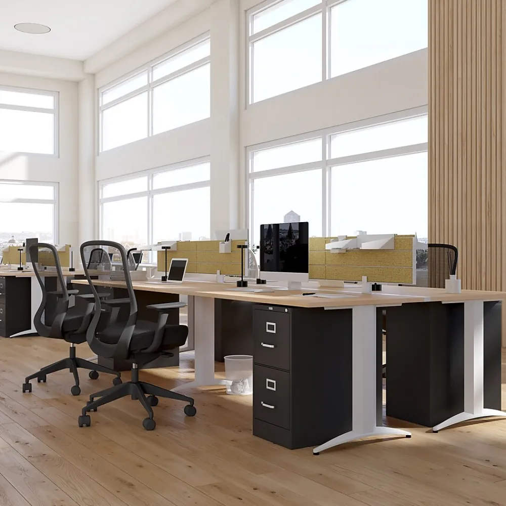 File Cabinets*Staples 2-Drawer Mobile Vertical File Cabinet, Letter Size, Lockable, 29"H x 15"W x 25"D, Black (59555/25420)