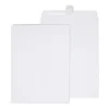 Staples EasyClose Catalog Envelopes, 9"L x 12"H, White, 250/Box (479885N)