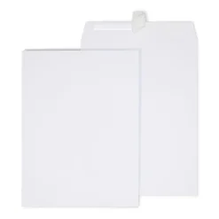 Staples EasyClose Catalog Envelopes, 9"L x 12"H, White, 250/Box (479885N)