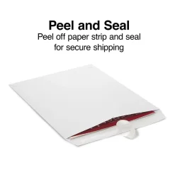 Staples EasyClose Catalog Envelopes, 9"L x 12"H, White, 250/Box (479885N)