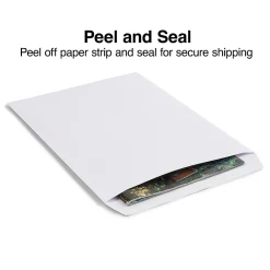 Online Staples EasyClose Catalog Envelopes, 10"L x 13"H, White, 250/Box (SPL479886)