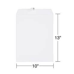 Online Staples EasyClose Catalog Envelopes, 10