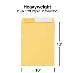 Best Staples EasyClose Kraft Catalog Envelopes, 10