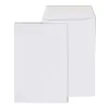Discount Staples Economy Gummed Catalog Envelopes, 6" x 9", White, 250/Box (50303T)