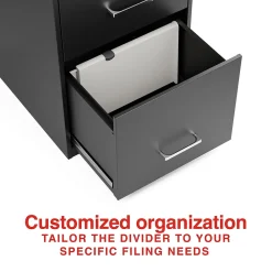 File Cabinets*Staples File Cabinet Drawer Divider (TR62604)