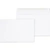 Staples Gummed Booklet Envelopes, 6" x 9", White, 250/Box (472852/19306)