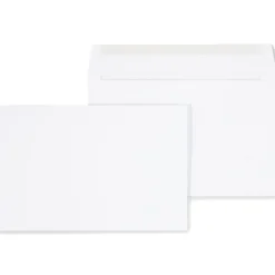 Staples Gummed Booklet Envelopes, 6" x 9", White, 250/Box (472852/19306)
