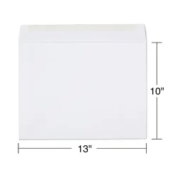 Staples Gummed Booklet Envelopes, 10