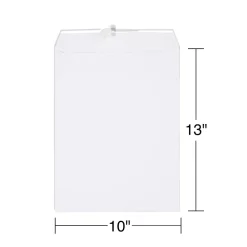 Discount Staples Gummed Catalog Envelopes, 10