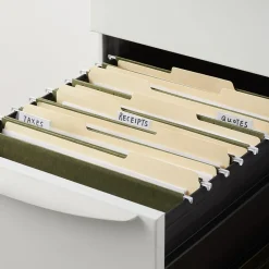 Hanging File Folders|Staples Heavy Duty Box-Bottom Hanging File Folders, 2