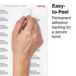 Clearance Staples Laser/Inkjet Address Labels, 1