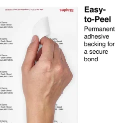 Clearance Staples Laser/Inkjet Address Labels, 1 1/3