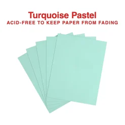 Multipurpose Paper*Staples Pastel 30% Recycled Color Copy Paper, 20 lbs., 8.5