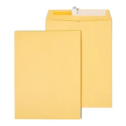 New Staples QuickStrip EasyClose Kraft Self Seal Catalog Envelopes, 9" x 12", Brown, 100/Box (ST381970-CC)