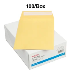New Staples QuickStrip EasyClose Kraft Self Seal #1 Catalog Envelopes, 6