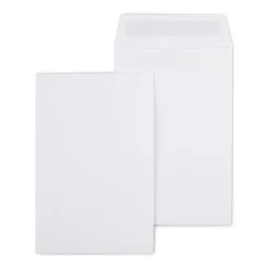Outlet Staples Self Seal #1 Catalog Envelopes, 6"L x 9"H, White, 100/Box (SPL609121)