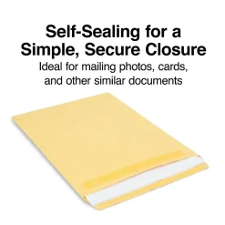 Sale Staples Self Seal Kraft Catalog Envelopes, 9"L x 12"H, Brown, 250/Box (486931/14245)