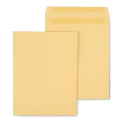 Clearance Staples Self Seal Kraft Catalog Envelopes, 10"L x 13"H, Brown, 100/Box (534818/19022)