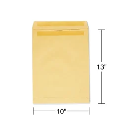 Clearance Staples Self Seal Kraft Catalog Envelopes, 10
