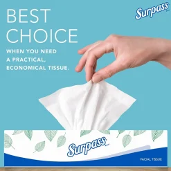 Standard Facial Tissue, 2-Ply, 100 Sheets/Box, 30 Boxes/Pack (21340)<Surpass Clearance