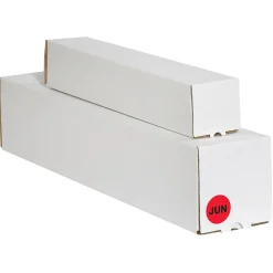 Labels|Tape Logic 1" Circle "JUN" Month of the Year Labels, Fluorescent Red, 500/Roll