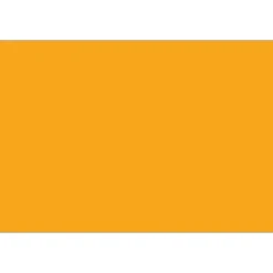 Labels|Tape Logic 6" x 3" Rectangle Inventory Label, Fluorescent Orange, 250/Roll