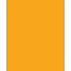 Labels|Tape Logic ® Rectangle Laser Labels, 8 1/2" x 11", Fluorescent Orange, 100/Case (LL185OR)