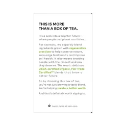 Tazo Green Ginger Green Tea Bag, 1.23 Oz., 16/Box (10794522003560)