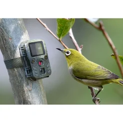 TECHNAXX TX-117 Mini Nature Wild Cam (4795)