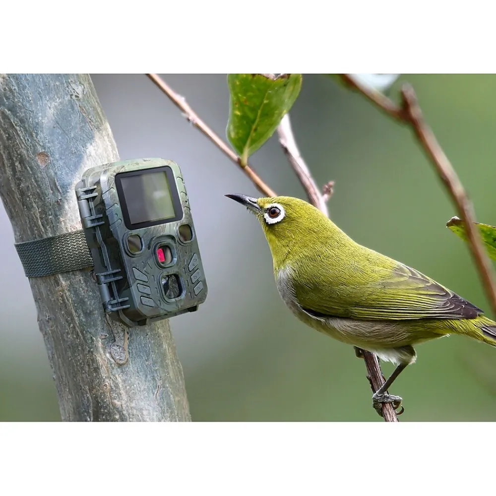 TECHNAXX TX-117 Mini Nature Wild Cam (4795)