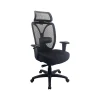 Office Chairs*Tempur-Pedic Mesh Back Fabric Computer and Desk Chair, Black (TP6450-BLKMB)