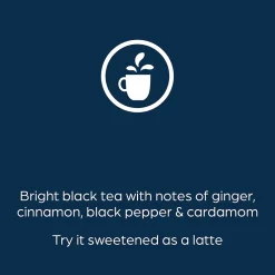 Bright Tea The Co. Chai Spice Tea, Flavia Freshpack, 100/Carton (MDRB501)