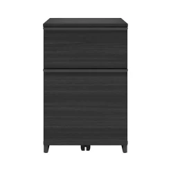 File Cabinets*Thomasville Furniture Latimer 2-Drawer Vertical File Cabinet, Pedestal, Burnt Ash, 20.8"D (SPLS-LADF-TV)