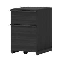 File Cabinets*Thomasville Furniture Latimer 2-Drawer Vertical File Cabinet, Pedestal, Burnt Ash, 20.8"D (SPLS-LADF-TV)