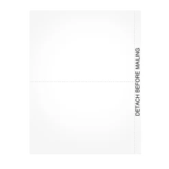 Tax Forms*TOPS 2024 1099 Tax Form, 1-Part, 2-Up, 100 Forms/Pack (LBLANKQ)