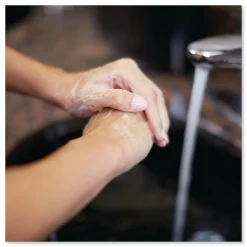 Premium Alcohol Gel Hand Sanitizer, 33.8 oz., Light Scent, 6/Carton (400016)<Tork Online