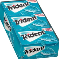 Trident Sugar Free Wintergreen Gum, 16 oz., 14 Pieces/Pack, 12/Pack (304-00058)