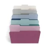 File Folders|TRU RED ™ File Folders, 3-Tab, Letter Size, Assorted Jewel Tone Colors, 24/Pack (TR58171)
